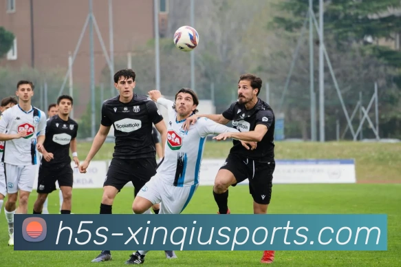 App Interface Preview